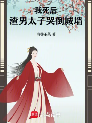 《我死后,渣男太子哭倒城墙》小说封面