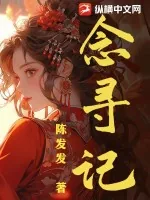 《念寻记》小说封面