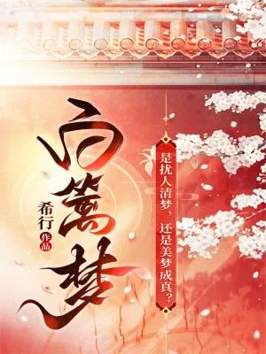 《白篱梦》小说封面