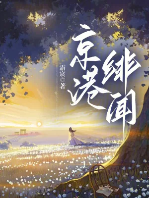 《京港绯闻》小说封面