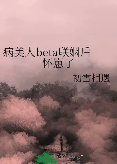 《病美人beta联姻后怀崽了》小说封面