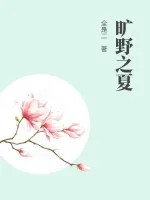 《旷野之夏》小说封面