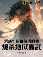 《素质?数值拉满的我,爆杀地狱高武!》小说封面
