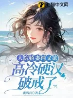 《大院娇妻纯又欲,高冷硬汉破戒了》小说封面
