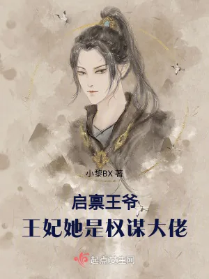 《启禀王爷：王妃她是权谋大佬》小说封面