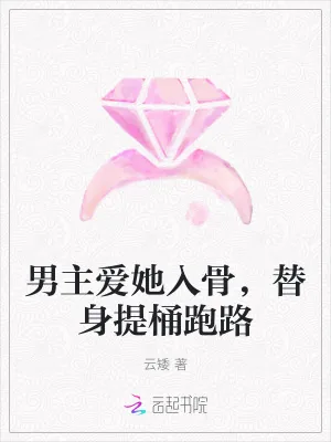 《男主爱她入骨，替身提桶跑路》小说封面