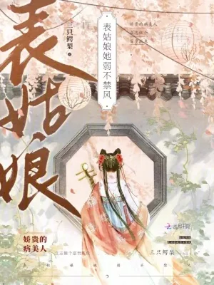 《表姑娘她弱不禁风》小说封面