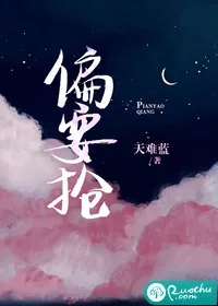 《偏要抢》小说封面