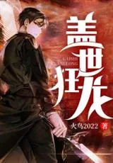 《罗宾肖雨笛》小说封面