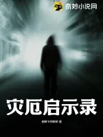 《灾厄启示录》小说封面