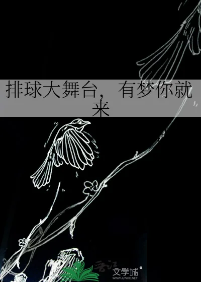 《排球大舞台,有梦你就来》小说封面