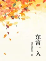 《东宫一入》小说封面