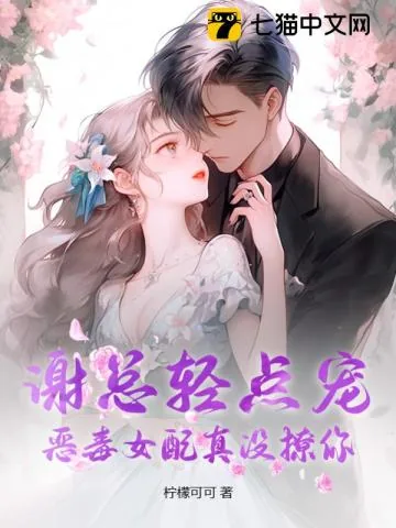 《谢总轻点宠,恶毒女配真没撩你》小说封面