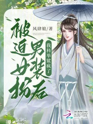 《被迫女扮男装后，我科举鲨疯了》小说封面