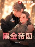 《黑金帝国》小说封面
