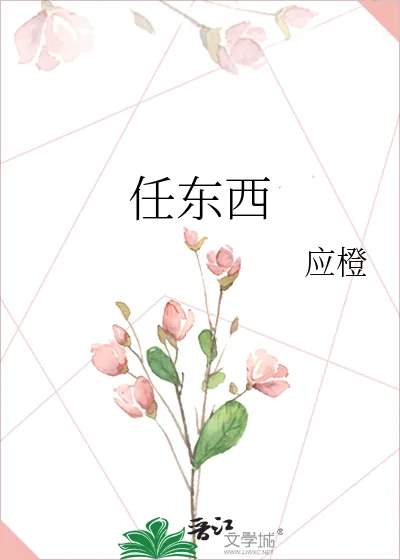 《任东西》小说封面
