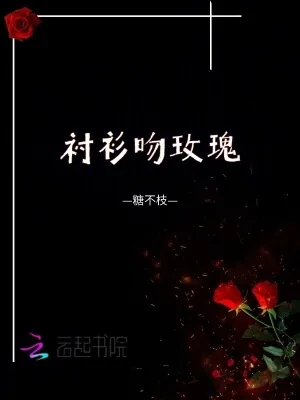 《衬衫吻玫瑰》小说封面