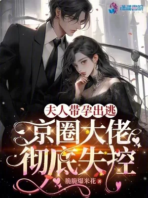 《夫人带孕出逃，京圈大佬彻底失控》小说封面