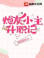 《炮灰小主升职记》小说封面