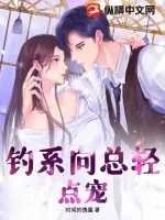 《钓系向总轻点宠》小说封面