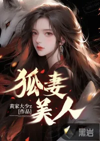 《狐妻美人》小说封面