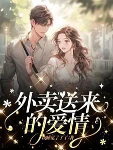 《外卖送来的爱情》小说封面