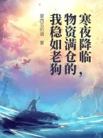 《寒夜降临，物资满仓的我稳如老狗》小说封面