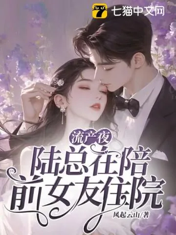 《流产夜，陆总在陪前女友住院》小说封面