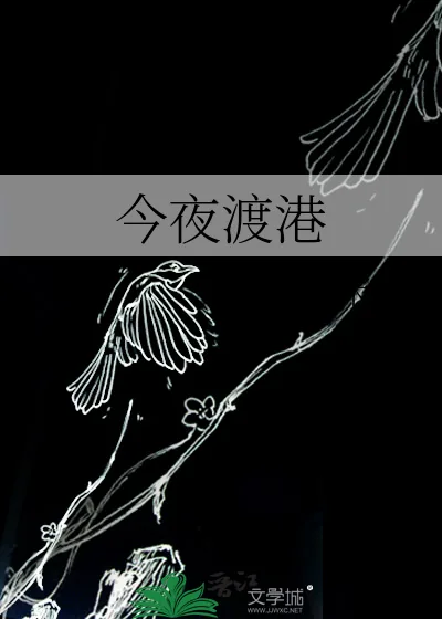 《今夜渡港》小说封面