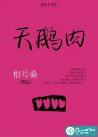 《天鹅肉》小说封面