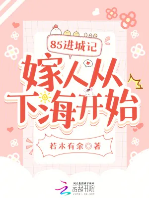 《85进城记,嫁人从下海开始》小说封面