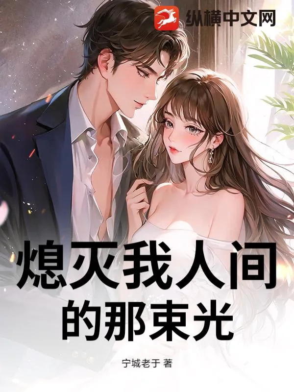 《熄灭我人间的那束光》小说封面