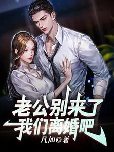 《老公别来了，我们离婚吧！》小说封面