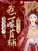 《宠妾灭妻?我二嫁首辅燃爆全京城》小说封面