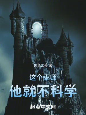 《这个巫师他就不科学》小说封面