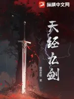 《天经九剑》小说封面
