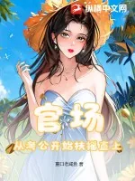《官场：从考公开始扶摇直上》小说封面