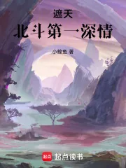 《遮天：北斗第一深情》小说封面