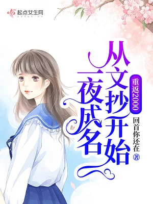《重返2000从文抄开始一夜成名》小说封面