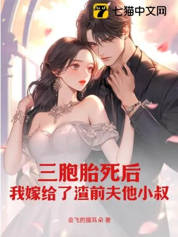 《三胞胎死后,我嫁给了渣前夫他小叔》小说封面