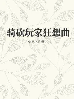 《骑砍玩家狂想曲》小说封面