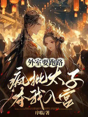 《外室要跑路,疯批太子夺我入宫》小说封面