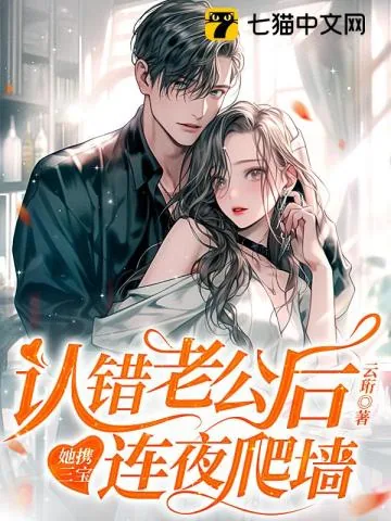 《认错老公后,她携三宝连夜爬墙》小说封面