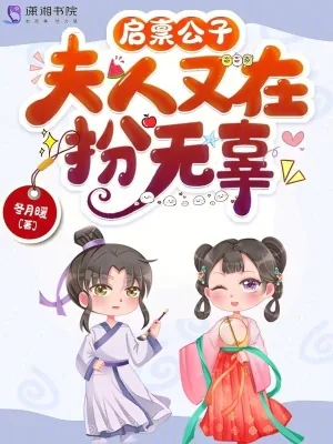 《启禀公子,夫人又在扮无辜》小说封面