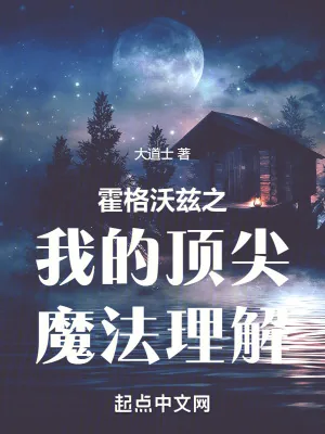 《霍格沃茨之我的顶尖魔法理解》小说封面