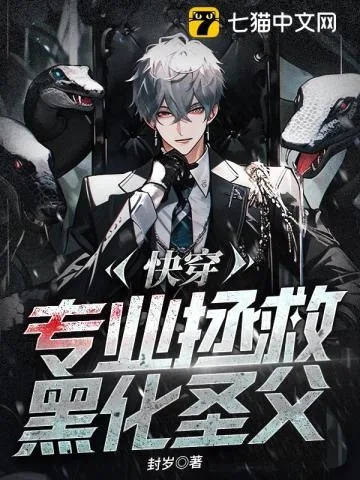 《快穿:专业拯救黑化圣父》小说封面