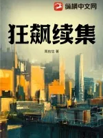 《狂飙续集》小说封面