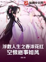 《浮数人生之春浓花红，空恨逝事如风》小说封面