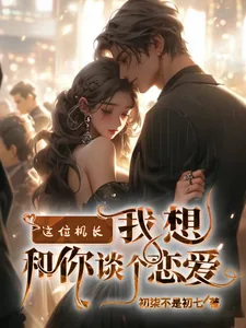 《这位机长,我想和你谈个恋爱》小说封面