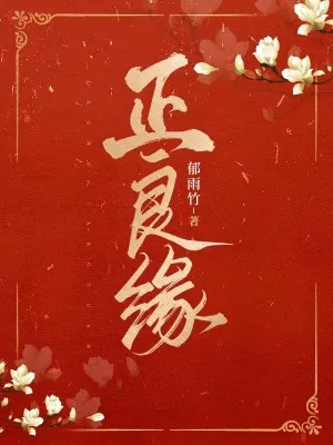 《正良缘》小说封面